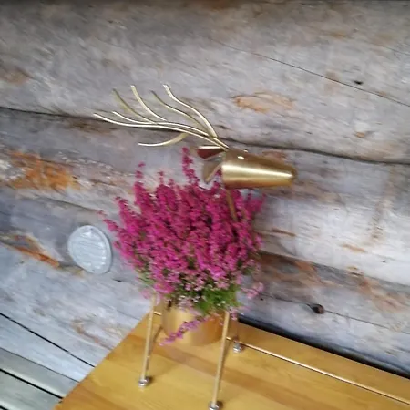 Chill Cave - Logwood 度假居