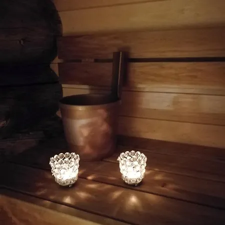 Chill Cave - Logwood