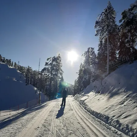 Chill Cave - Logwood *