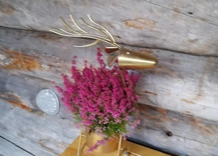 Chill Cave - Logwood בית נופש