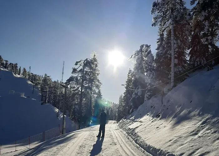 Chill Cave - Logwood *